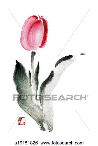 Stock Illustration - Red tulip, ink brush painting, front view, white background, cut out. Fotosearch