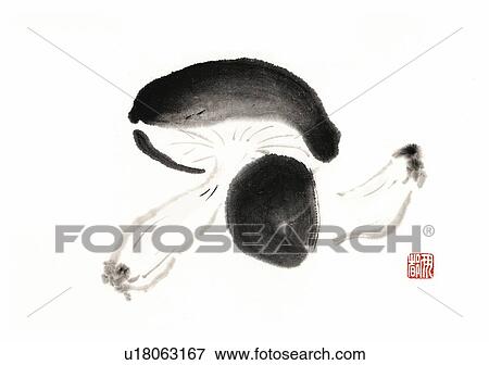 Stock Illustration - Shiitake mushrooms, ink brush painting, white background, cut out. Fotosearch