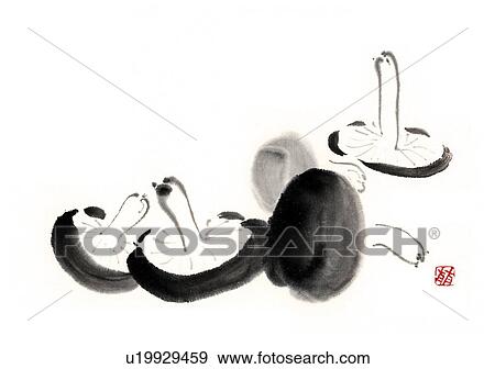 Shiitake mushrooms, ink brush painting, white background, cut out, copy space View Large Illustration Stock Illustration - Shiitake mushrooms, ink brush painting, white background, cut out, copy space. Fotosearch