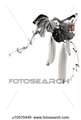 Sponge cucumber, ink brush painting, white background, cut out, copy space View Large Illustration Stock Illustration - Sponge cucumber, ink brush painting, white background, cut out, copy space. Fotosearch