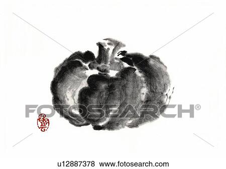 Stock Illustration - Squash, ink brush painting, white background, cut out. Fotosearch