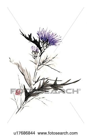 Stock Illustration - Thistle, ink brush painting, white background, cut out. Fotosearch