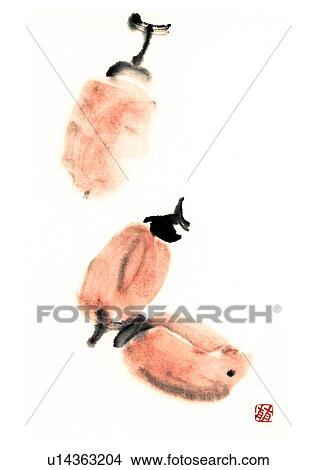 Three dried persimmons, ink brush painting, white background, cut out, copy space View Large Illustration Stock Illustration - Three dried persimmons, ink brush painting, white background, cut out, copy space. Fotosearch