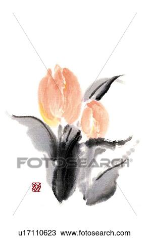 Tulips, ink brush painting, front view, white background, cut out View Large Illustration Drawing - Tulips, ink brush painting, front view, white background, cut out. Fotosearch