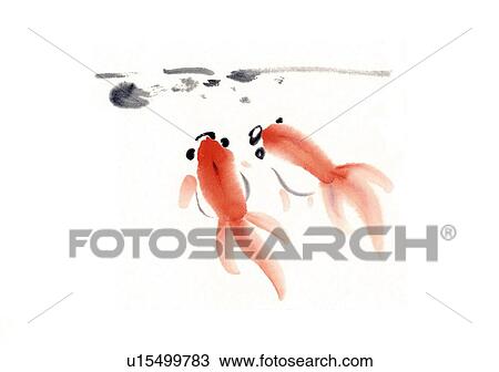 Two goldfishes in water, ink brush painting, high angle view, white background, cut out View Large Illustration Drawing - Two goldfishes in water, ink brush painting, high angle view, white background, cut out. Fotosearch