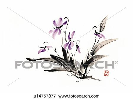 Violets, ink brush painting, white background, cut out View Large Illustration Stock Illustration - Violets, ink brush painting, white background, cut out. Fotosearch