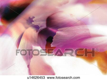 Arrangement, Computer Graphics, Complex, Art, Abstract View Large Illustration Drawing - Arrangement, Computer Graphics, Complex, Art, Abstract. Fotosearch