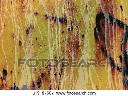 Art, Computer Graphics, Composite, Complex, Arrangement View Large Illustration Stock Illustration - Art, Computer Graphics, Composite, Complex, Arrangement. Fotosearch