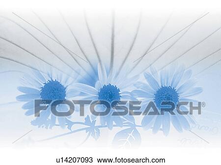 Drawing - Art, Concept, Computer Graphics, Complex, Arrangement. Fotosearch
