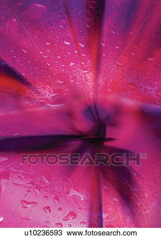 Drawing - appearance, arrangement, abstract. Fotosearch
