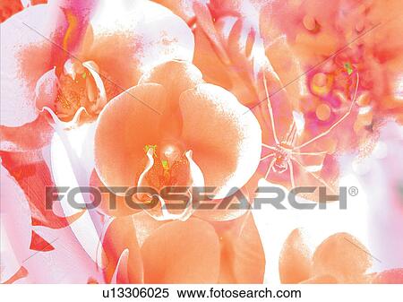Illustration, Digital Composite, Digitally Generated Image View Large Illustration Stock Illustration - Illustration, Digital Composite, Digitally Generated Image. Fotosearch
