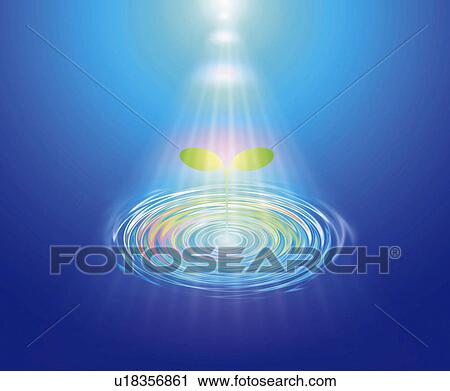 Sprout on water surface, Computer Graphics, composition View Large Photo Image Stock Image - Sprout on water surface, Computer Graphics, composition. Fotosearch