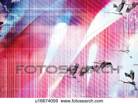 artistic, blurry, blur, birds, art form View Large Photo Image Stock Photo - artistic, blurry, blur, birds, art form. Fotosearch