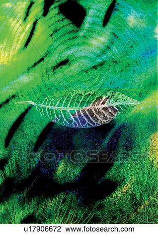 Stock Image - artistic, close-up, blurry, blur, art form. Fotosearch