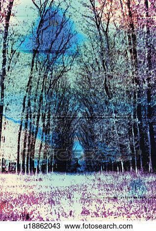 Stock Image - fantasy, arrangement, artistic, blurry, art, close-up. Fotosearch