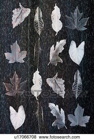 overlay, perspective, artwork, abstract, imagination, shape View Large Photo Image Stock Photo - overlay, perspective, artwork, abstract, imagination, shape. Fotosearch