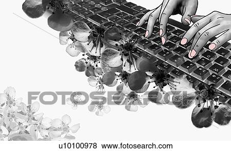 Stock Illustration - Close-up of a woman's hand typing on a computer keyboard. Fotosearch