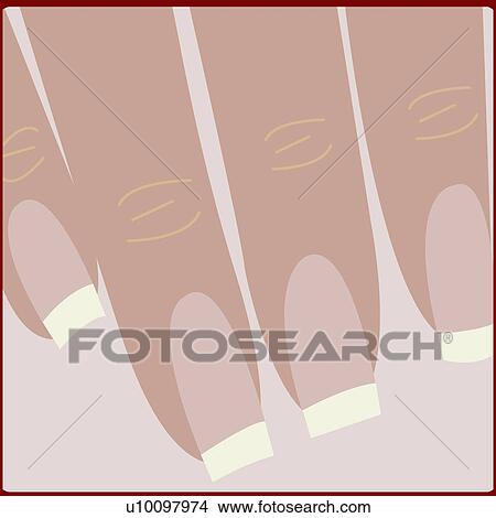 Stock Illustration - Close-up of a woman's finger nails. Fotosearch