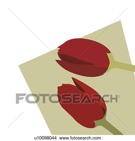 Stock Illustration - Close-up of red tulips. Fotosearch