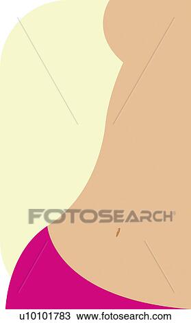 Drawing - Mid section view of a woman. Fotosearch