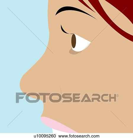 Clipart - Side profile of a young woman's face. Fotosearch