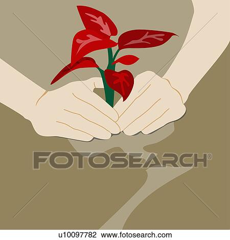 Drawing - Close-up of a person's hand planting a sapling. Fotosearch