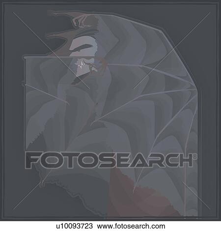 Close-up of a vampire covered with wings View Large Illustration Drawing - Close-up of a vampire covered with wings. Fotosearch