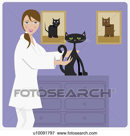 Portrait of a vet holding a cat View Large Illustration Stock Illustration - Portrait of a vet holding a cat. Fotosearch