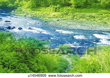 A river in greens, Japan, high angle view, composition, computer graphics View Large Photo Image Stock Photo - A river in greens, Japan, high angle view, composition, computer graphics. Fotosearch