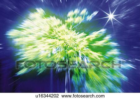 A sparkling tree, Japan, composition, computer graphics, blurred motion, lens flare View Large Photo Image Stock Image - A sparkling tree, Japan, composition, computer graphics, blurred motion, lens flare. Fotosearch