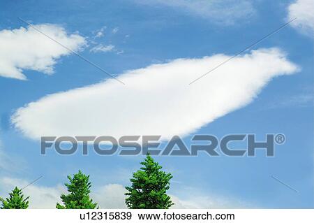 Stock Photo - Clouds in the sky and trees, Japan, low angle view, composition, computer graphics. Fotosearch