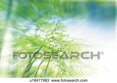 Stock Image - Green trees, Japan, composition, computer graphics, blurred motion. Fotosearch