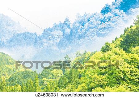 Mountains and forest, Japan, composition, computer graphics, differential focus View Large Photo Image Stock Image - Mountains and forest, Japan, composition, computer graphics, differential focus. Fotosearch