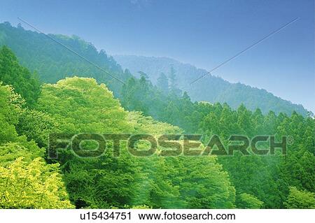 Stock Image - Mountains in green, Japan, composition, computer graphics. Fotosearch