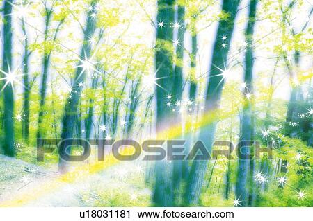 Stock Image - Shining forest, Japan, composition, computer graphics, soft focus, lens flare. Fotosearch