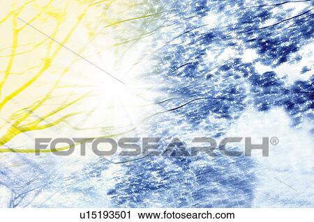 Stock Image - The sunlights through the trees, Japan, low angle view, composition, computer graphics, soft focus. Fotosearch