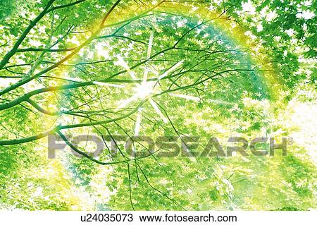 Stock Image - The sunlights through the trees, Japan, low angle view, composition, computer graphics, lens flare. Fotosearch
