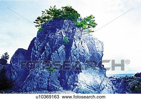 Stock Image - Trees on the rock under the blue sky, Japan, low angle view, composition, computer graphics. Fotosearch