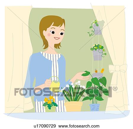 Woman Who is Giving the Plant Water, Illustrative Technique View Large Illustration Stock Illustration - Woman Who is Giving the Plant Water, Illustrative Technique. Fotosearch