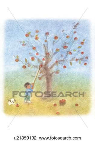 Boy trying to drop persimmons from the tree, Illustration  View Large Photo Image Stock Image - Boy trying to drop persimmons from the tree, Illustration . Fotosearch