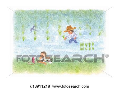 Stock Photo - Man planting rice and his son playing with puppy, Illustration. Fotosearch