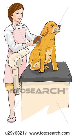 Stock Illustration - Woman trimming a dog, Illustration. Fotosearch