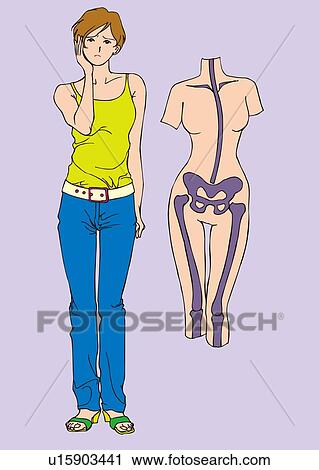 Clip Art - Image of bone distortion and young woman, front view. Fotosearch