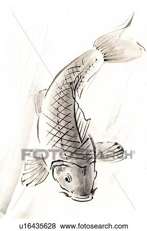 鯉 インク ブラシ 絵 イラスト U Fotosearch