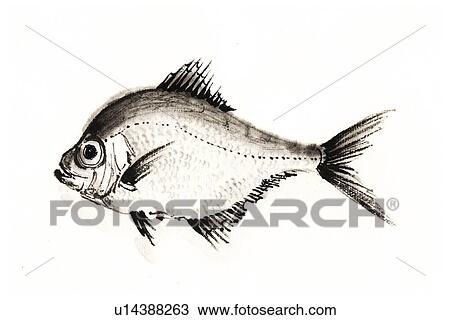 Alfonsin, Ink Brush Painting View Large Illustration Drawing - Alfonsin, Ink Brush Painting. Fotosearch