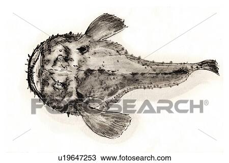 Drawing - Angler, Ink Brush Paintin. Fotosearch