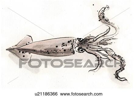 Calamary, Ink Brush Painting View Large Illustration Stock Illustration - Calamary, Ink Brush Painting. Fotosearch