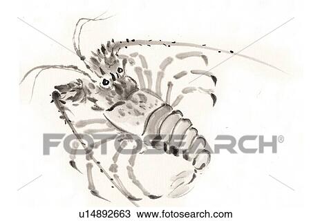 Drawing - Crawfish, Ink Brush Paintin. Fotosearch