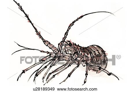 Crawfish, Ink Brush Paintin View Large Illustration Stock Illustration - Crawfish, Ink Brush Paintin. Fotosearch