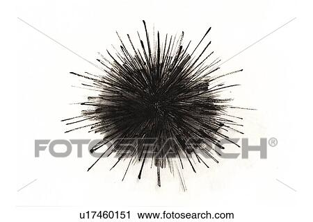 Clip Art - Echinoid, Ink Brush Painting. Fotosearch